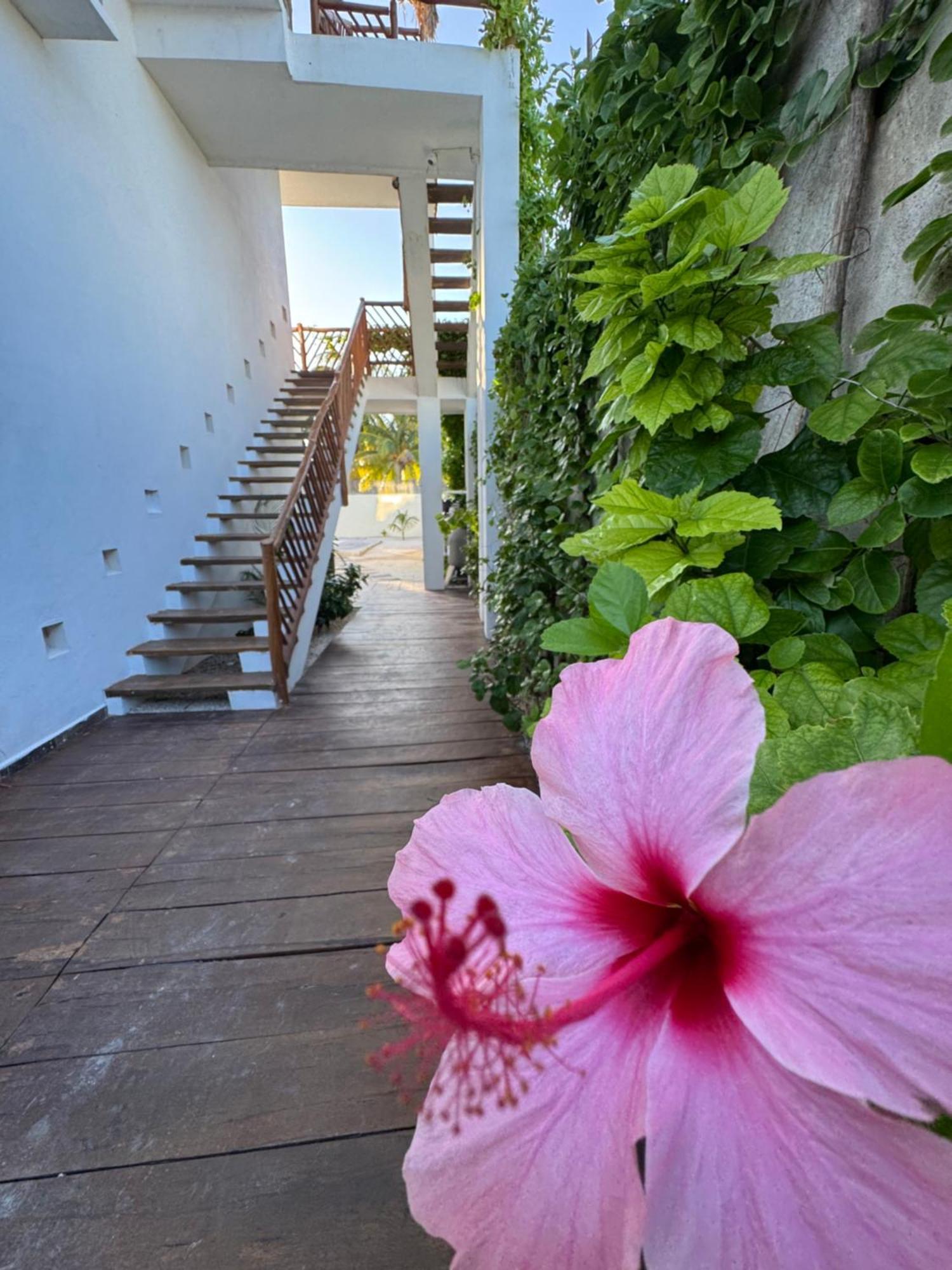 Mexhe Hotel El Cuyo Buitenkant foto